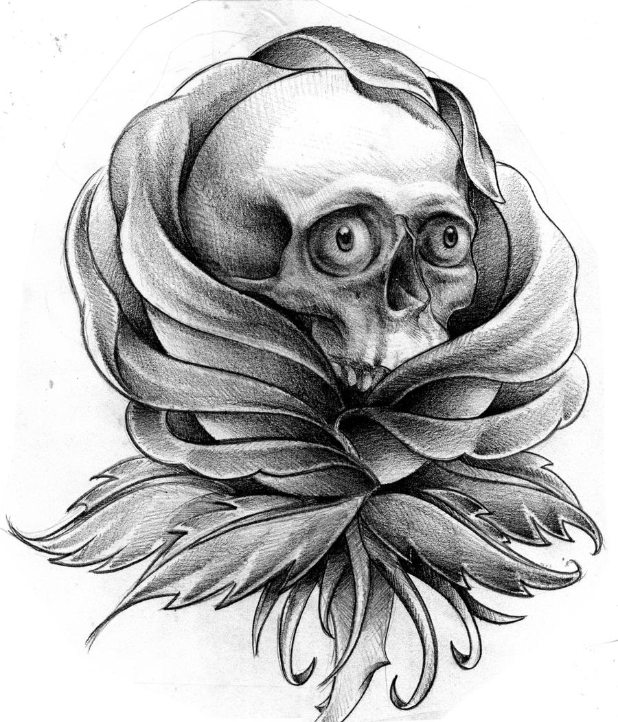 Skull in Rose sketch by Mr---G-o-n-e on DeviantArt