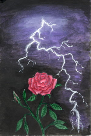 [Image: rose_and_lightning.jpg]