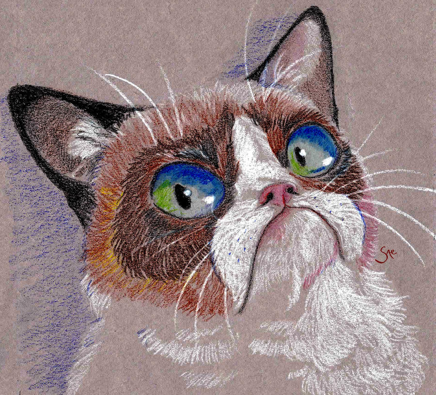 Grumpy Cat by saemful on DeviantArt
