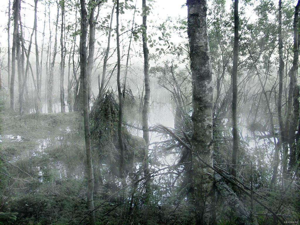 misty_swamp.jpg