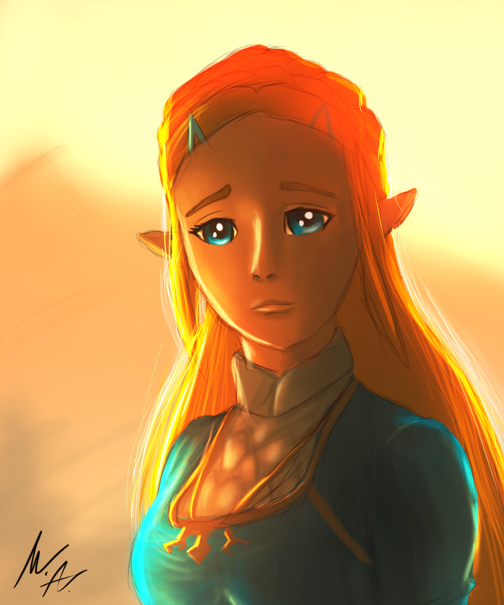 Link (BotW) by McDobo | Legend of zelda, Hero, Legend