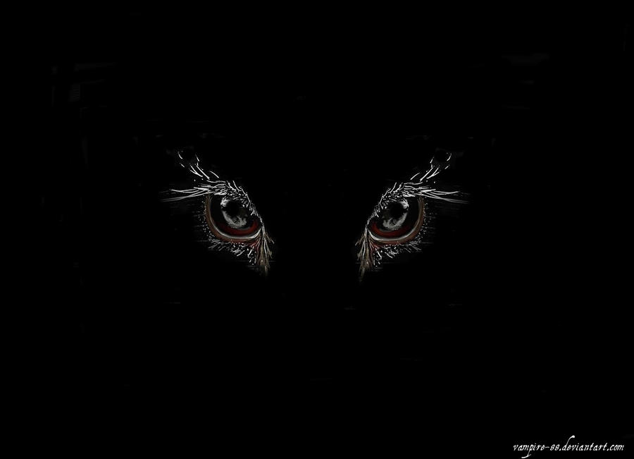 white tumblr birds backgrounds black and vampire owl DeviantArt 88 on by eyes