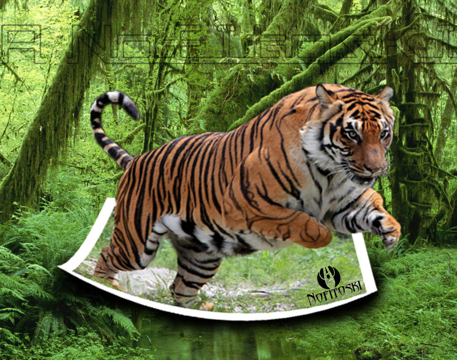 tiger jumping clipart - photo #48