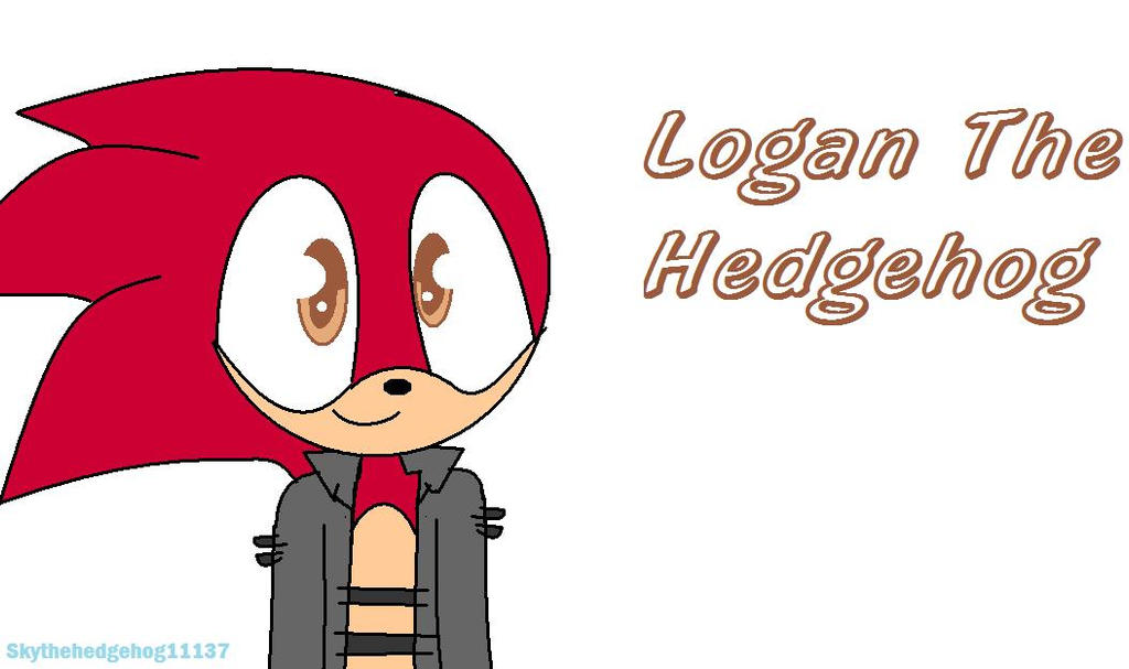 logan_the_hedgehog_for_sonicbran23__by_skythehedgehog11137-d9de3hu.jpg