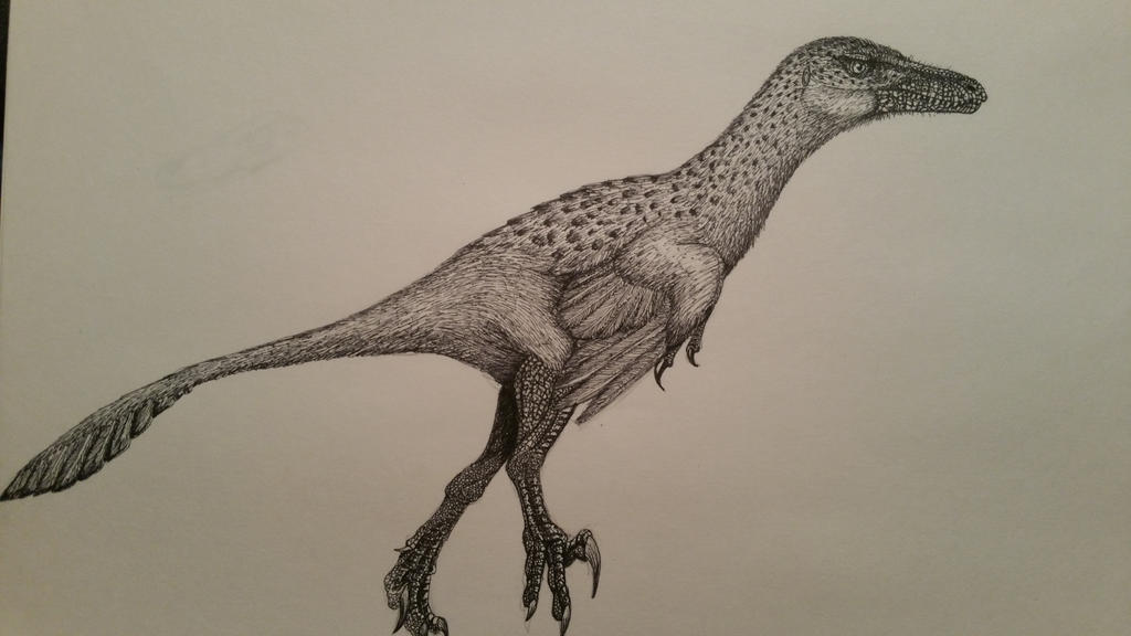 saurornitholestes_sullivani_by_spinosaur