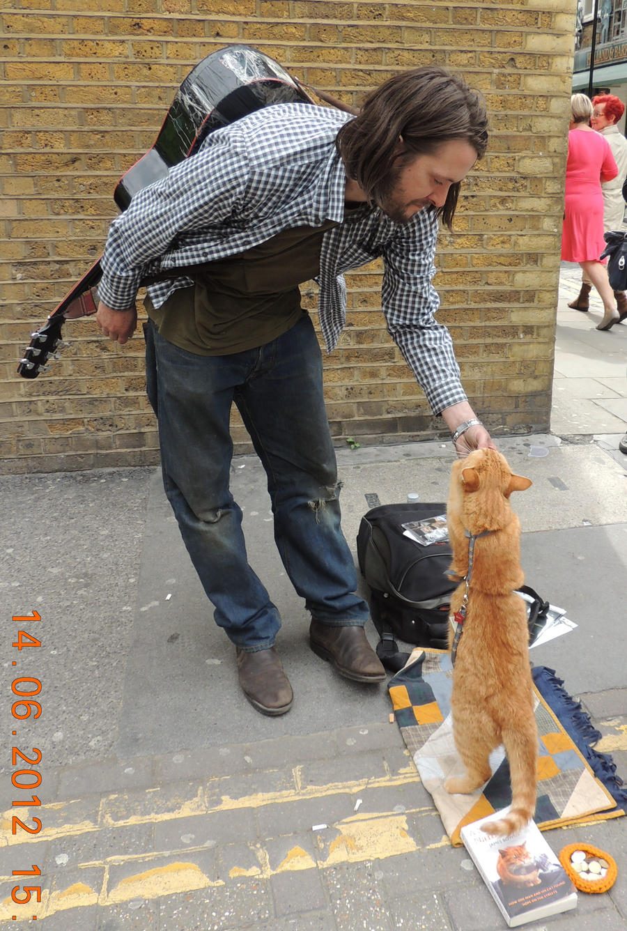 Official Trailer A Street Cat Named Bob Online Account