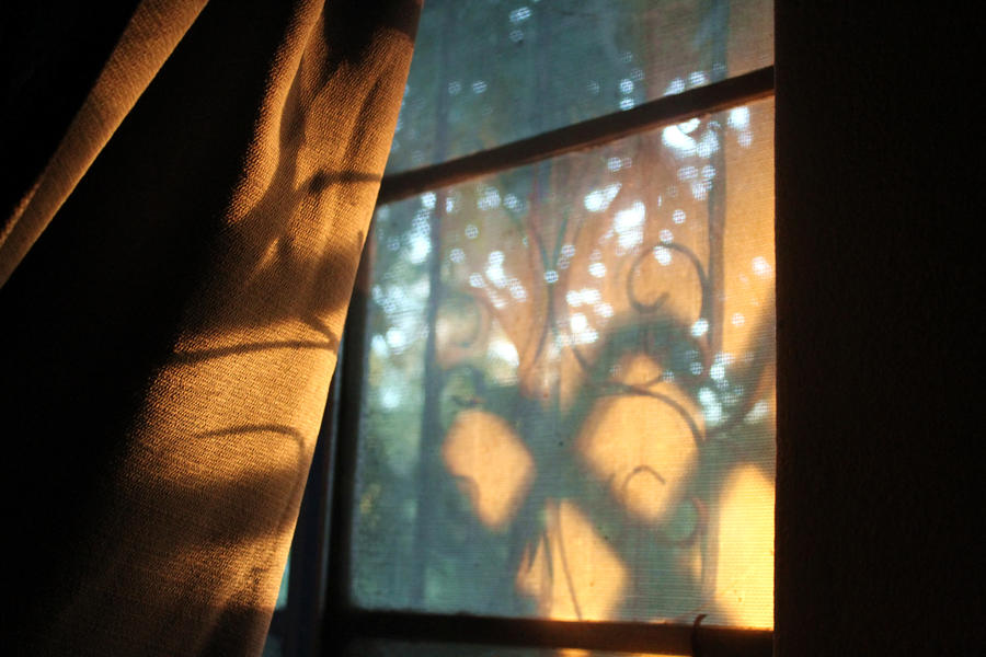 [Image: morning_window_by_brony114-d5ivhw2.jpg]